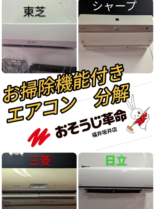 画像268